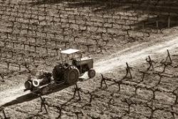EU awards Spain EU8.29 Bln for rural development EU awards Spain EU8.29 Bln for rural development