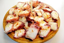 Spanish Politician pays 'Octopus' EU60 k Salary Spanish Politician pays 'Octopus' EU60 k Salary