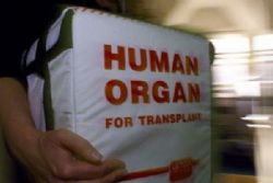 Spain Consistently Leads Transplant Records